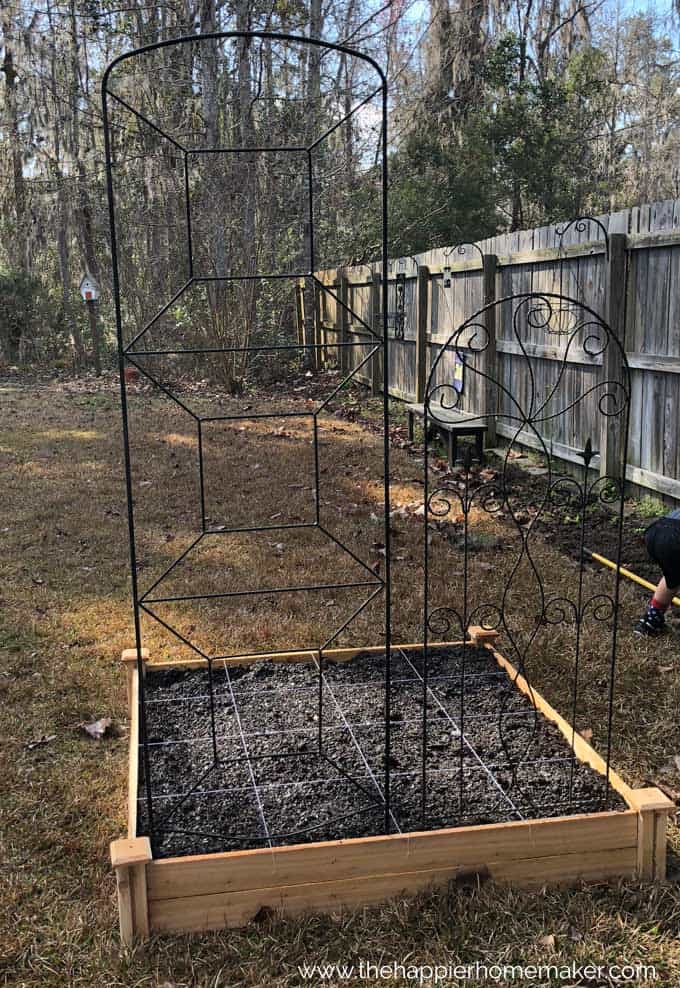 wooden raised garden bed with trellis on one side