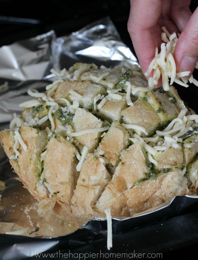 An in-process picture of someone making pesto cheesy pull apart bread by putting shredded cheese on top