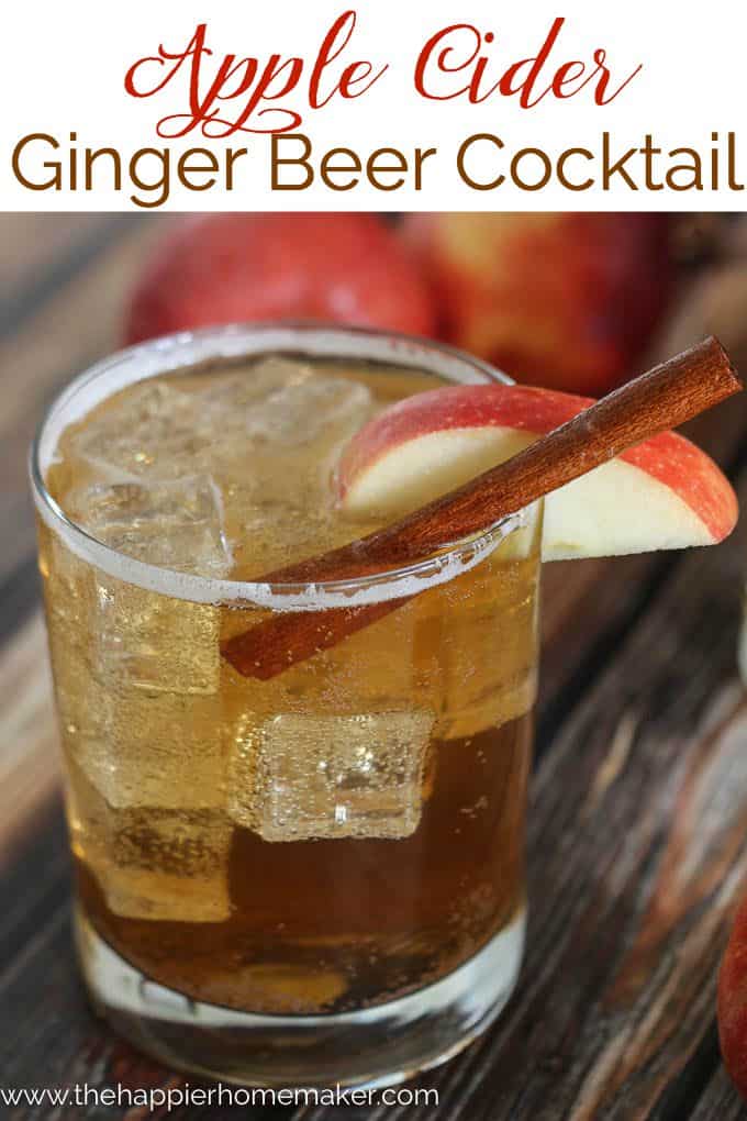 A glass of apple cider ginger beer garnished with a cinnamon stick and a apple slice