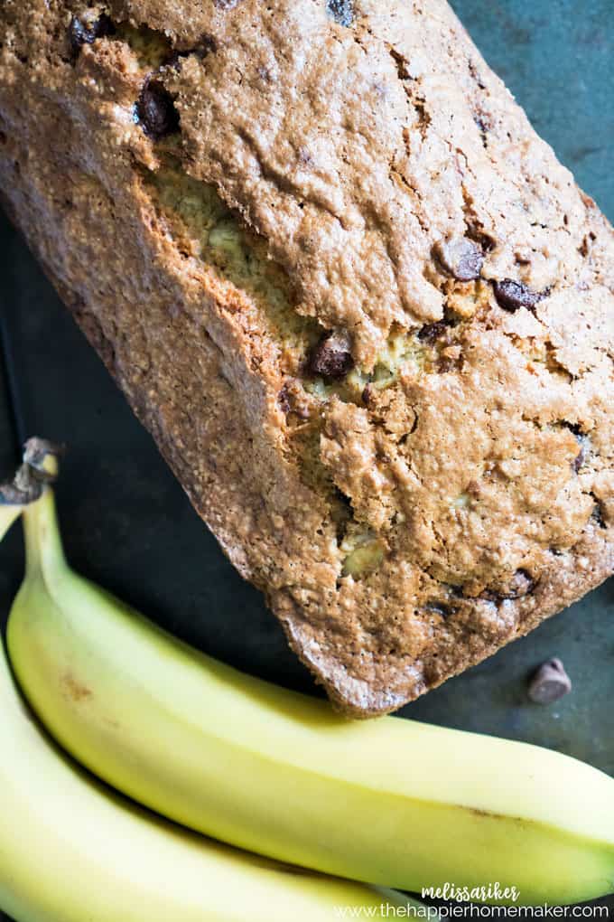 close up of a loaf of chocolate chip banana bread