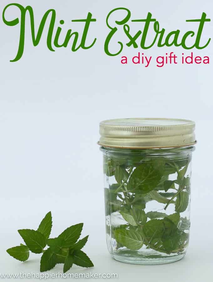 DIY Gift Idea: Homemade Peppermint Extract