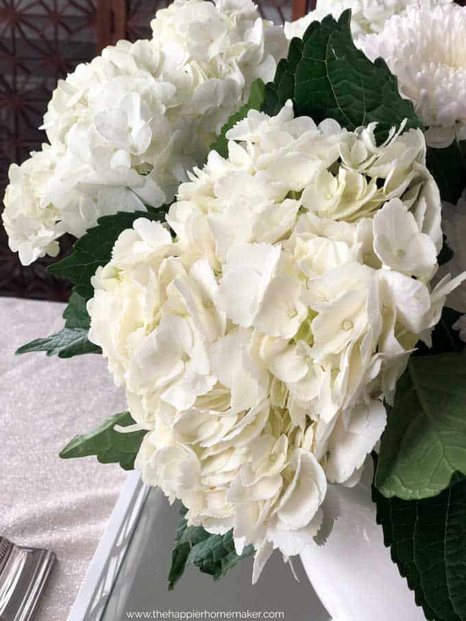 A close up photo of a white hydrangea