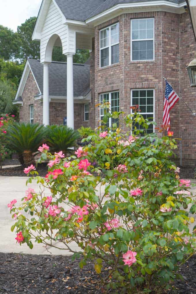 A close up of a flower garden in front of a brick home with white two story columns