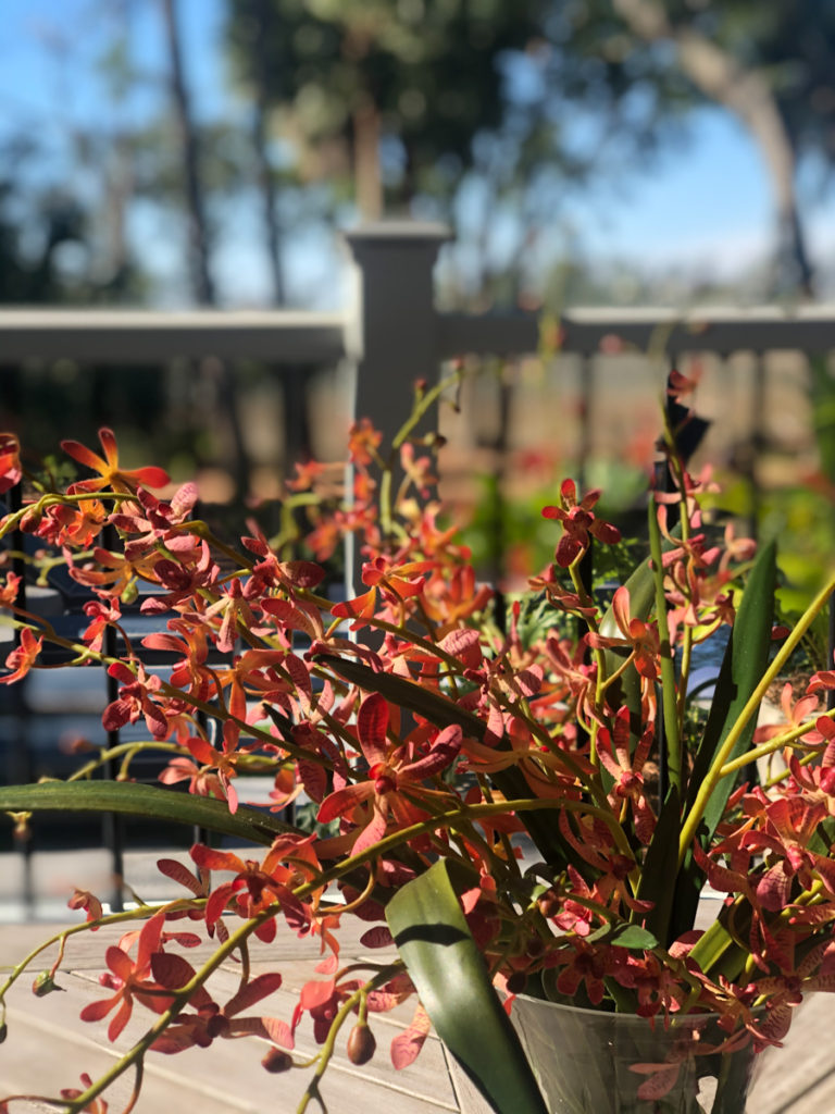 HGTV Dream Home flowers outside