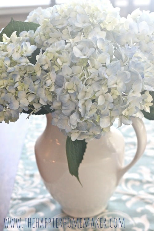 A close up of white and light blue hydrangea flowers in a white vase 