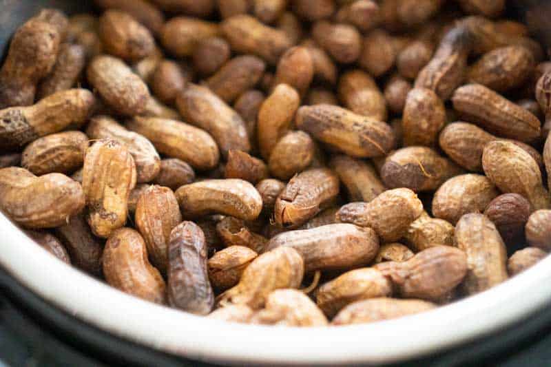 close up of boiled peanuts in instant pot