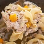 ladle of chicken noodle soup over instant pot