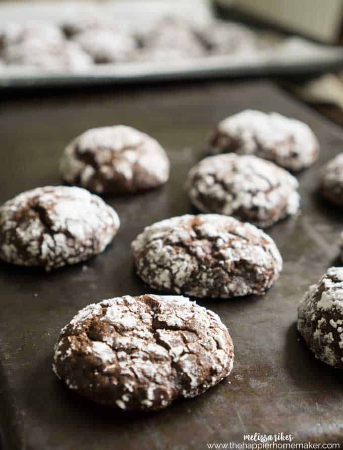 peppermint chocolate crinkle cookies  on baking sheet 