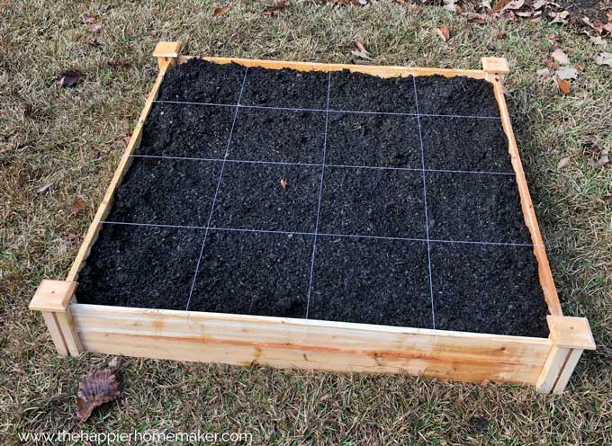 wooden raised garden bed with 4 by 4 grid marked in string