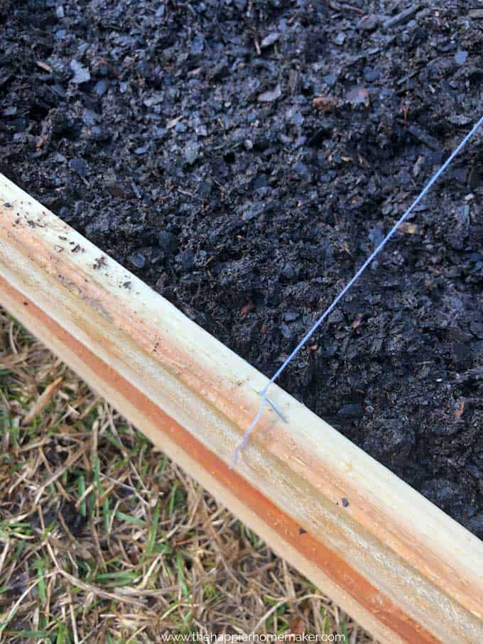 close up of wooden raised garden bed edge with string attached to one side