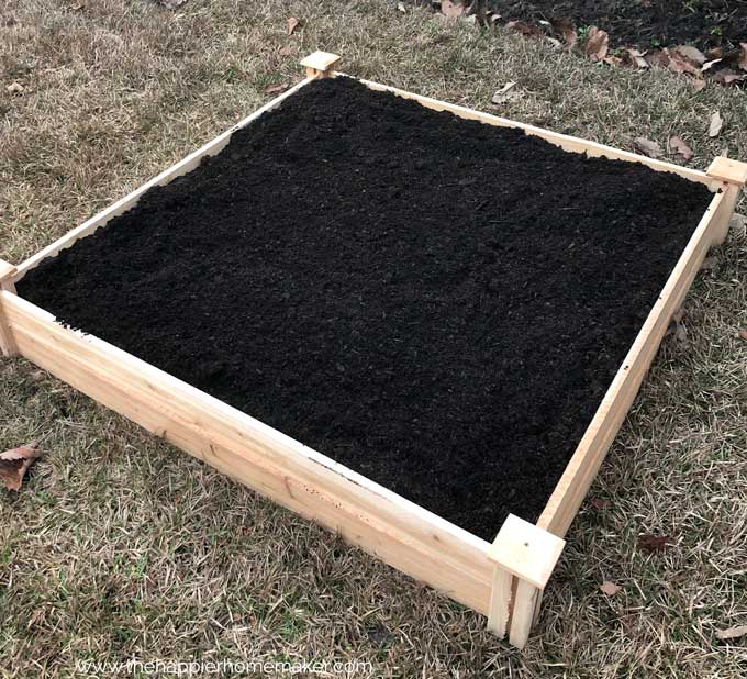 wooden raised garden bed filled with fresh dirt