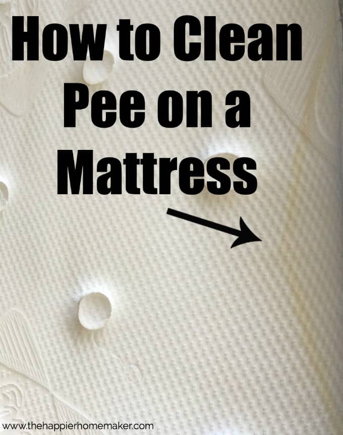 How to Clean Pee on a Mattress