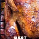 roast turkey from overhead on pan with text reading best roast turkey