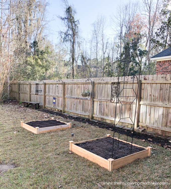 raised cedar square foot garden kit