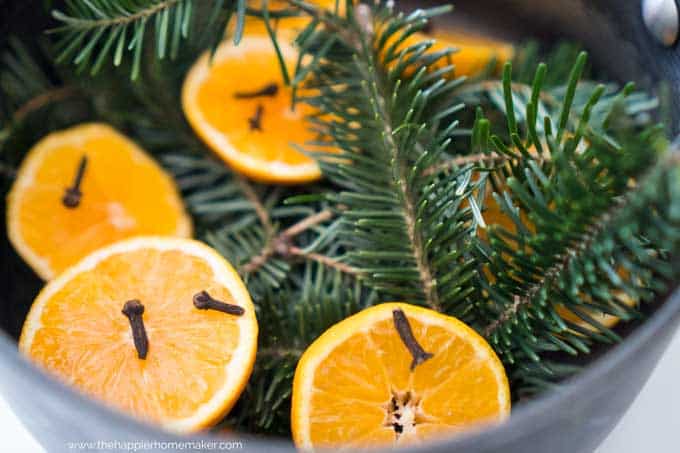 halved oranges with cloves and pine sprigs in pot