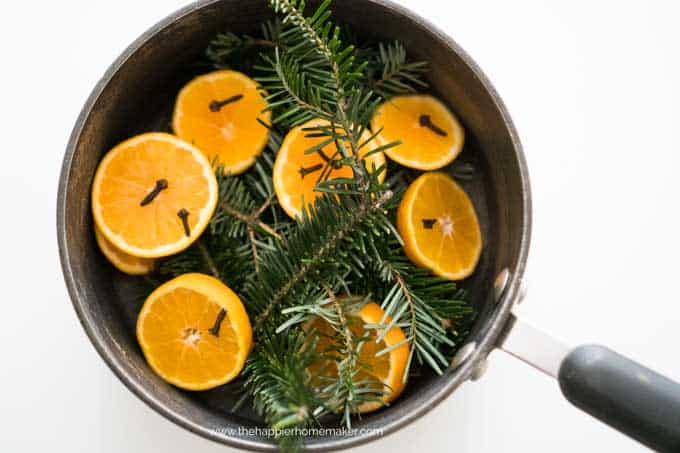 pot with halved oranges with cloves and pine sprigs