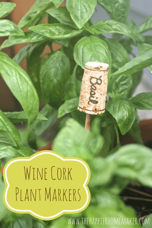 DIY Wine Cork Plant Markers